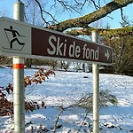 Gites-clairiere-ardenne 度假居 *