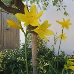 Prázdninový dům Gites-clairiere-ardenne *