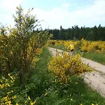 Prázdninový dům Gites-clairiere-ardenne Louftémont