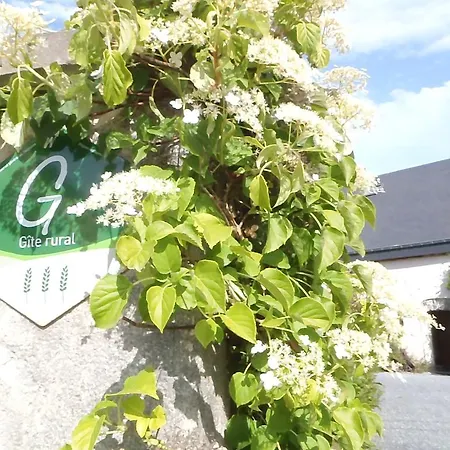 Gites-clairiere-ardenne