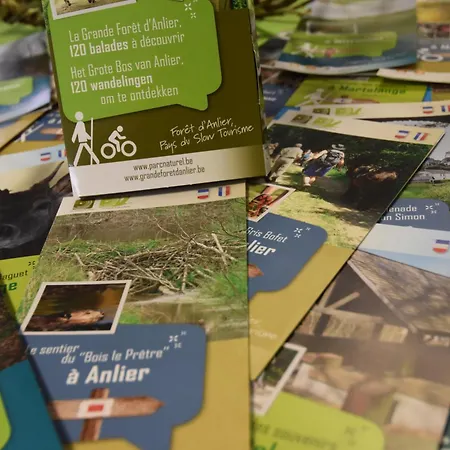 Gites-clairiere-ardenne 別荘 Louftémont