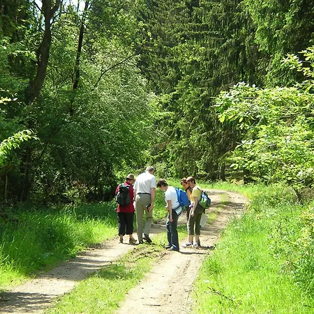 別荘 Gites-clairiere-ardenne Louftémont