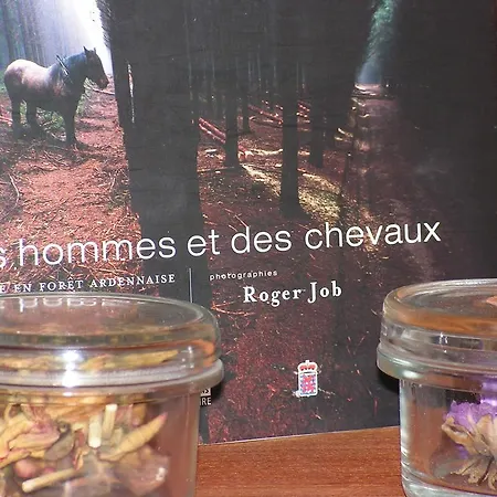 Gites-clairiere-ardenne 別荘