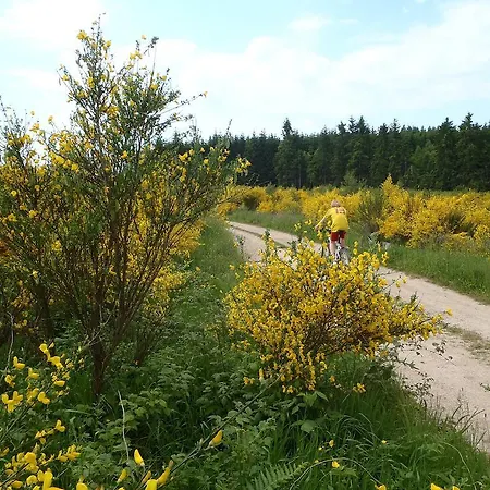 Holiday home Gites-clairiere-ardenne Louftemont