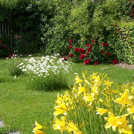 Gites-clairiere-ardenne