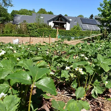 Gites-clairiere-ardenne Louftémont