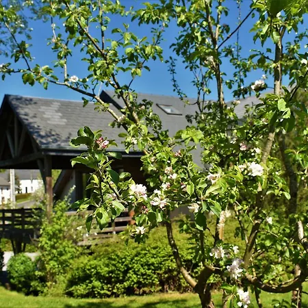 Gites-clairiere-ardenne Feriehus *