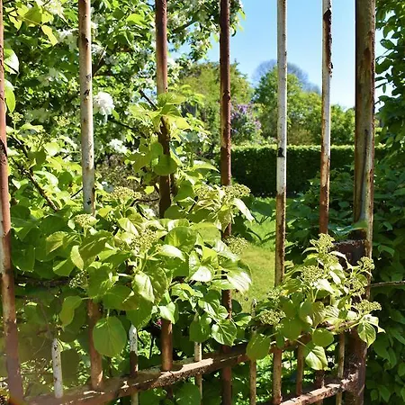 Prázdninový dům Gites-clairiere-ardenne Louftémont
