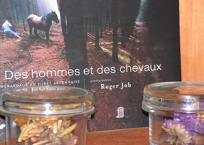 Gites-clairiere-ardenne 別荘